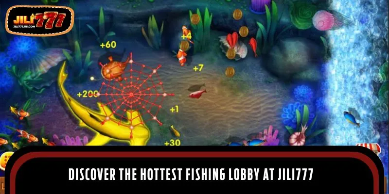 Some interesting unknown facts about the category